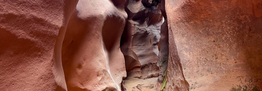 Hiking Bighorn Canyon Trail Near Escalante, Utah