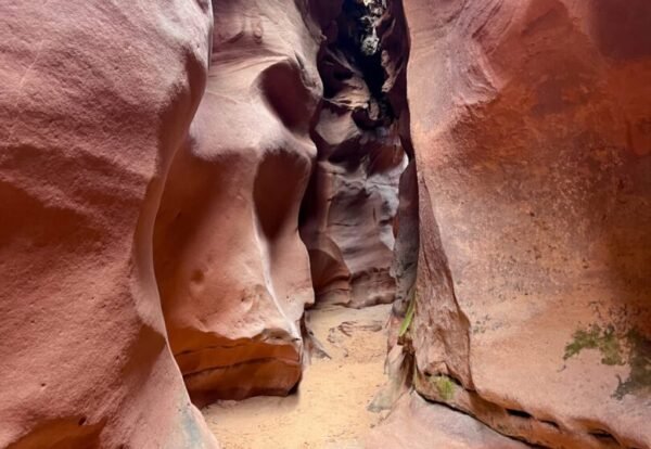 Hiking Bighorn Canyon Trail Near Escalante, Utah