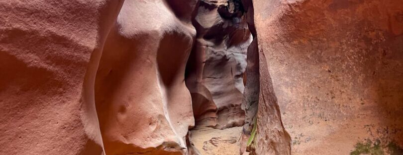 Hiking Bighorn Canyon Trail Near Escalante, Utah