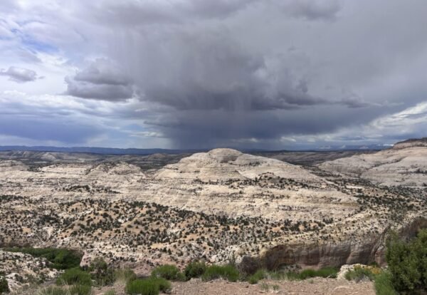 Upper Calf Creek Falls Trail