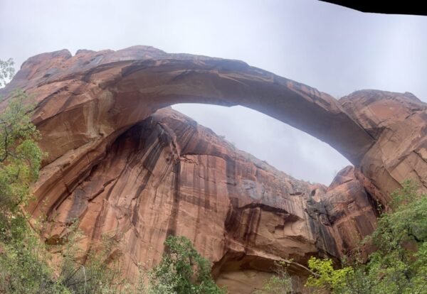 Escalante Natural Bridge