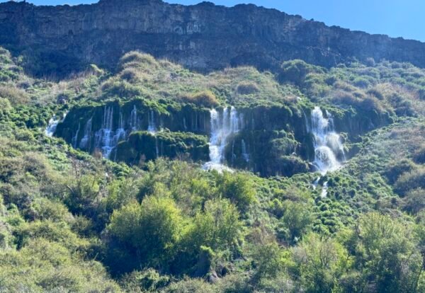 Explore Minnie Miller Springs Trail at Ritter Island: A Hiking Guide