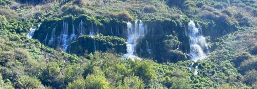 Explore Minnie Miller Springs Trail at Ritter Island: A Hiking Guide