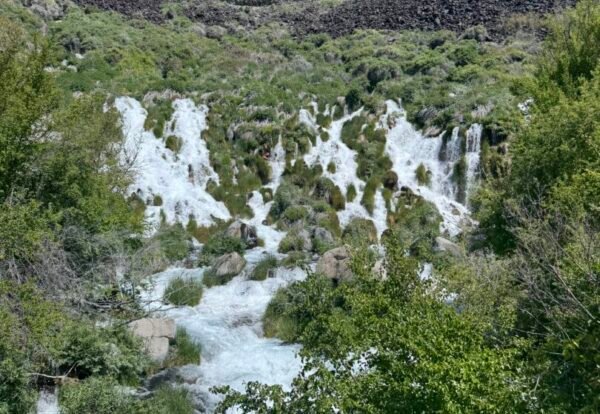 Niagara Springs: A Guide to Exploring Near Twin Falls, Idaho