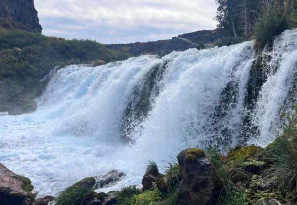 Discover the Beauty of Box Canyon Springs Near Twin Falls, Idaho