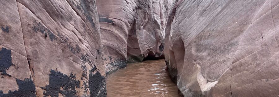 Zebra and Tunnel Slot Canyons
