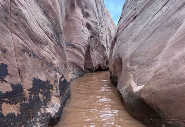 Zebra and Tunnel Slot Canyons
