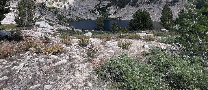 Scenic view along Elko, Nevada Hikes