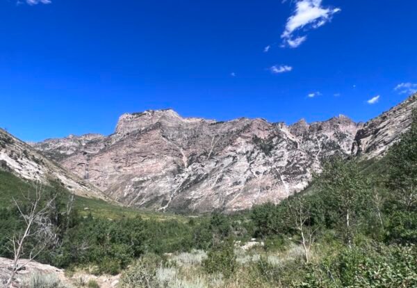 Ultimate Guide to Hiking Thomas Creek, Ruby Mountains Nevada