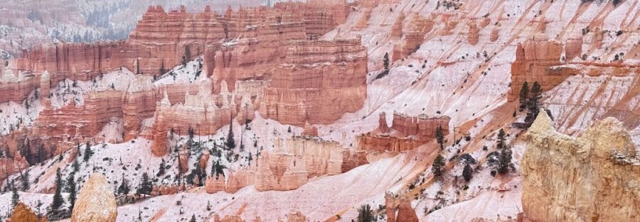 How Does Exercise Benefit Our Physical And Mental Health