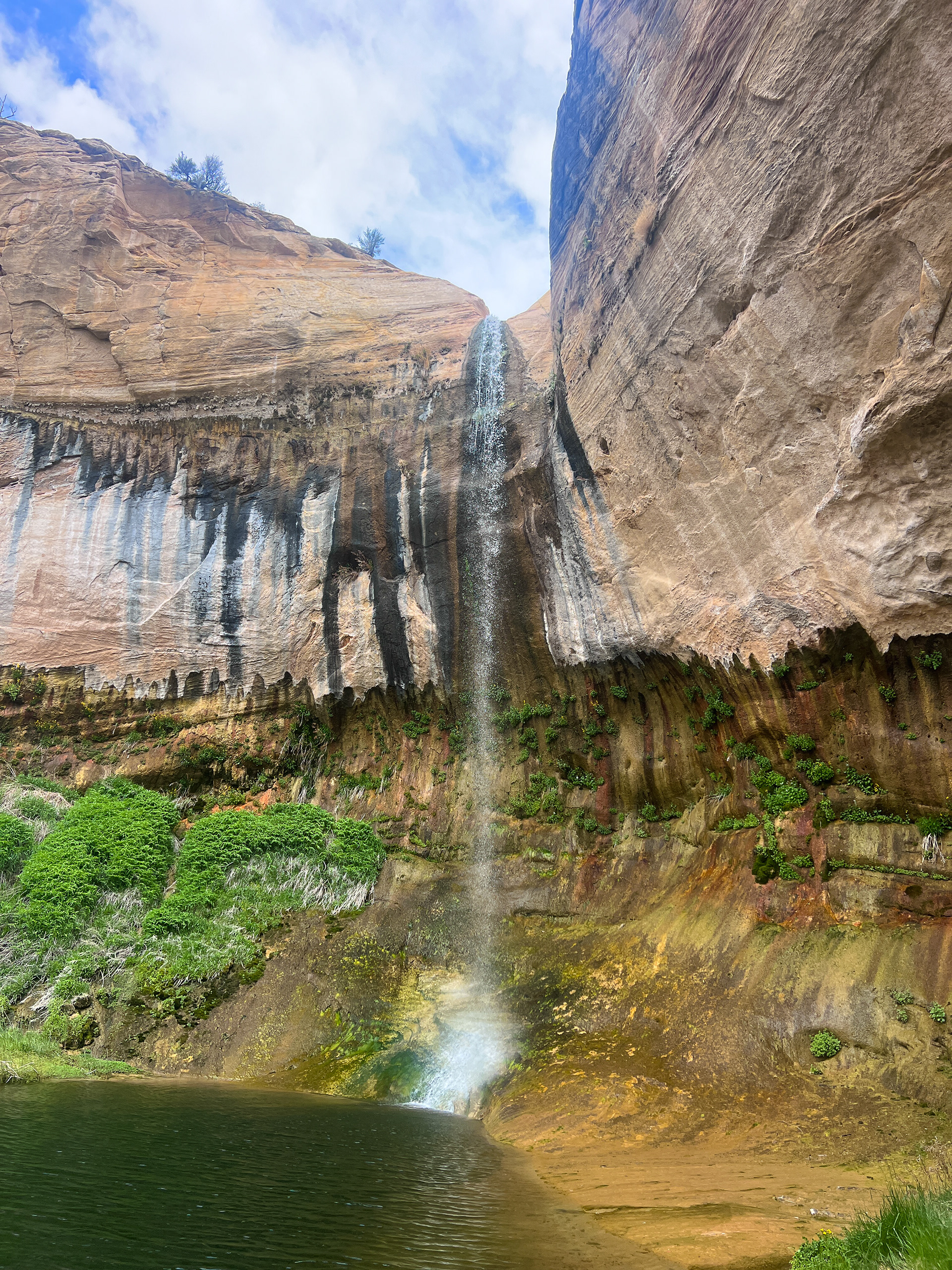 Upper Calf Creek Falls Escalante, Utah