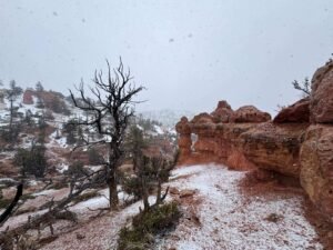 Your Guide to Hiking the Arches Trail in Dixie National Forest Near Panguitch, Utah