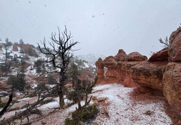 Your Guide to Hiking the Arches Trail in Dixie National Forest Near Panguitch, Utah