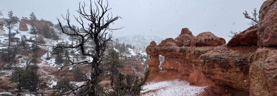 Your Guide to Hiking the Arches Trail in Dixie National Forest Near Panguitch, Utah