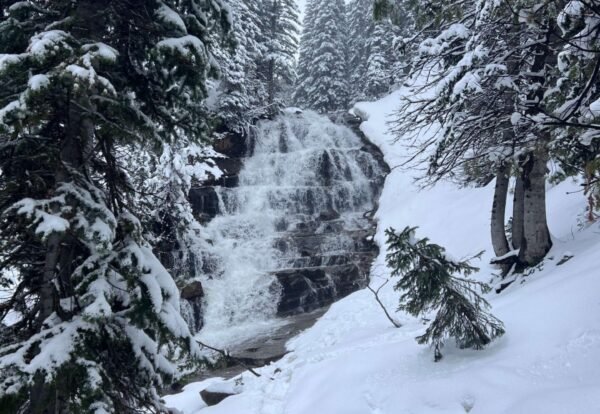 Ultimate Guide to Hiking Gloria Falls in Uinta Wasatch-Cache National Forest Near Salt Lake City, Utah