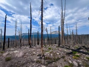 Hiking Guide: Discover Scudder Lake Trail in Utah’s High Uintas Wilderness