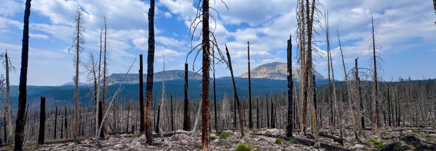 Hiking Guide: Discover Scudder Lake Trail in Utah’s High Uintas Wilderness