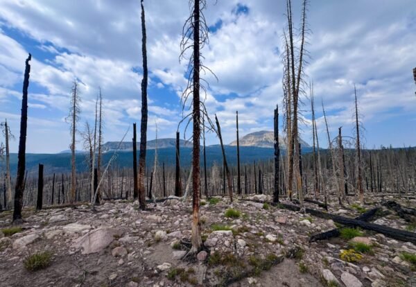 Hiking Guide: Discover Scudder Lake Trail in Utah’s High Uintas Wilderness