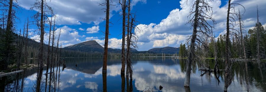 Your Guide to Hiking in Utah’s High Uintas Wilderness