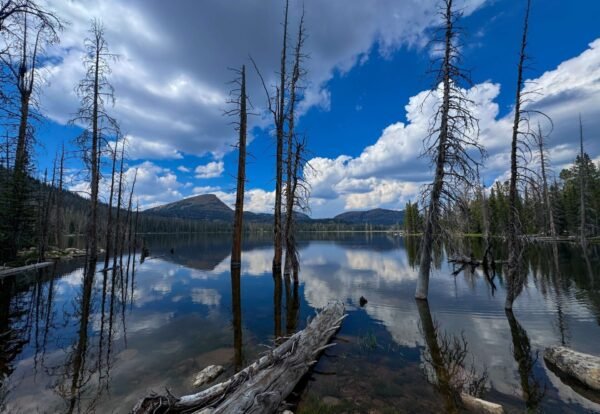 Your Guide to Hiking in Utah’s High Uintas Wilderness