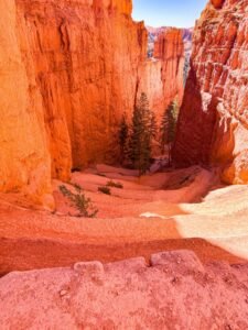 Your Ultimate Guide to Hiking the Navajo Loop and Queen’s Garden Trails in Bryce Canyon National Park
