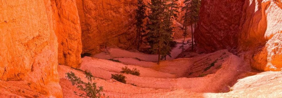 Your Ultimate Guide to Hiking the Navajo Loop and Queen’s Garden Trails in Bryce Canyon National Park