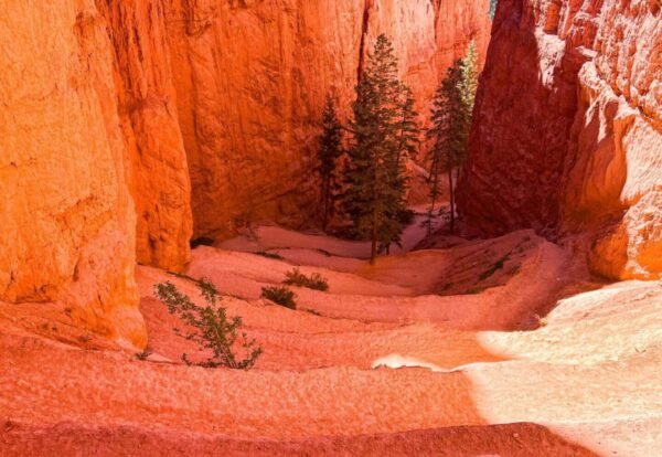 Your Ultimate Guide to Hiking the Navajo Loop and Queen’s Garden Trails in Bryce Canyon National Park