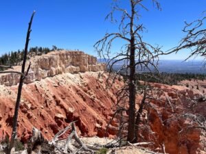Your Guide to Rainbow Point, Yovimpa Point, and the Bristlecone Loop in Bryce Canyon National Park