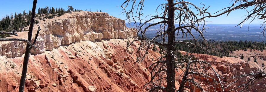 Your Guide to Rainbow Point, Yovimpa Point, and the Bristlecone Loop in Bryce Canyon National Park