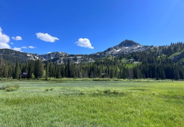 Guide to Hiking Silver Lake Loop in Uinta-Wasatch-Cache National Forest, Utah