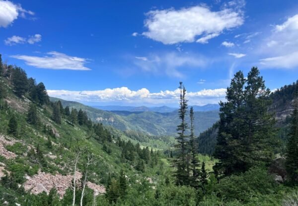 Ultimate Guide to Hiking Silver Lake Trail in Lone Peak Wilderness