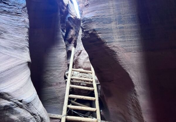 Your Guide to Hiking Wire Pass to Buckskin Gulch in Paria Canyon-Vermilion Cliffs Wilderness Area