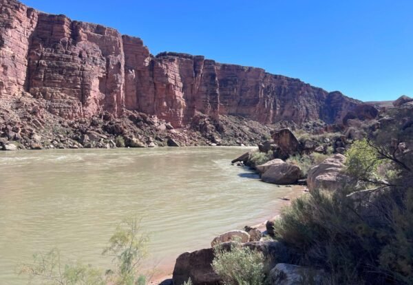 Your Complete Guide to Hiking Cathedral Wash Trail in Glen Canyon National Recreation Area