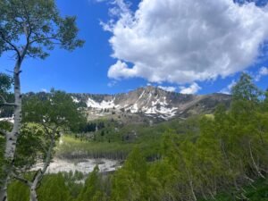 Hiking Mount Raymond: Your Ultimate Guide to Exploring Mount Olympus Wilderness