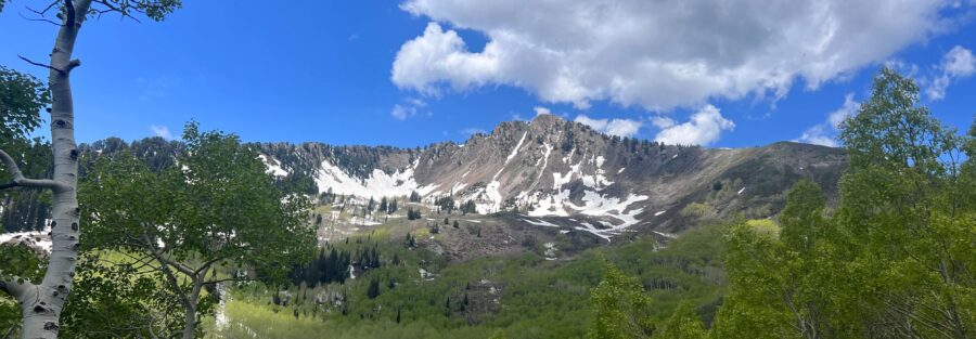 Hiking Mount Raymond: Your Ultimate Guide to Exploring Mount Olympus Wilderness