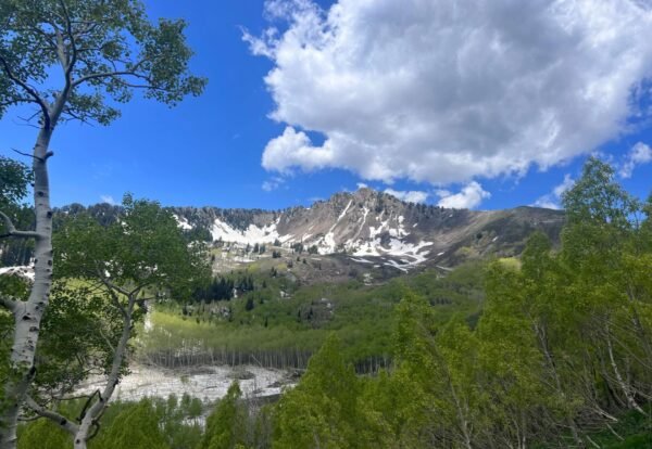 Hiking Mount Raymond: Your Ultimate Guide to Exploring Mount Olympus Wilderness