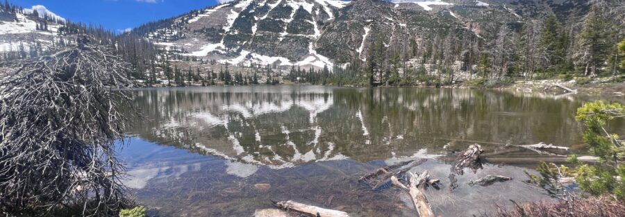 Your Guide to Hiking Ruth Lake, Jewel Lake, Cutthroat Lake, and Teal Lake Route in Uinta-Wasatch-Cache National Forest Near Kamas, Utah