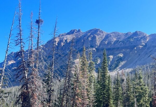 Hiking Guide: Conquer Hayden Peak in Utah’s High Uintas Wilderness