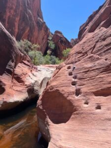 A Guide to Hiking the Red Reef Trailhead in Red Cliffs National Conservation Area, Utah