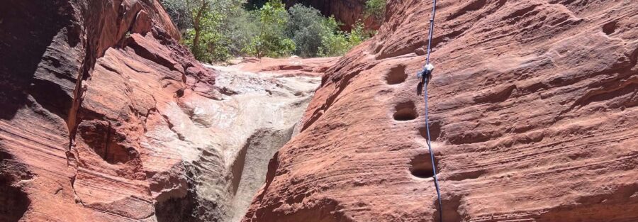 Hiking the Red Reef Trailhead in Red Cliffs National Conservation Area, Utah