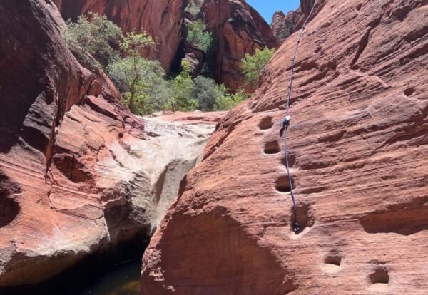 Hiking the Red Reef Trailhead in Red Cliffs National Conservation Area, Utah