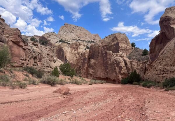 A Guide to Hiking the Grand Wash Trail in Capitol Reef National Park, Utah