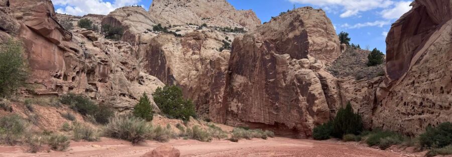 A Guide to Hiking the Grand Wash Trail in Capitol Reef National Park, Utah