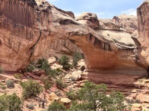 Your Ultimate Guide to Hiking Hickman Bridge Trail in Capitol Reef National Park, Utah