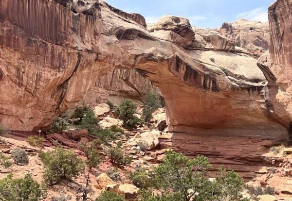 Your Ultimate Guide to Hiking Hickman Bridge Trail in Capitol Reef National Park, Utah
