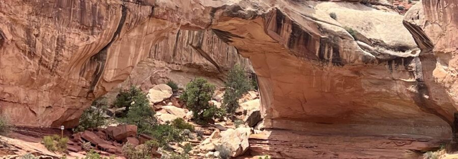 Your Ultimate Guide to Hiking Hickman Bridge Trail in Capitol Reef National Park, Utah