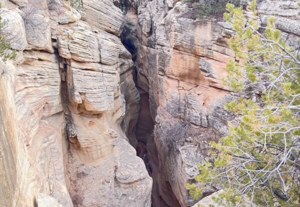 Off-Roading Skutumpah Road: Discover Utah’s Wild Side