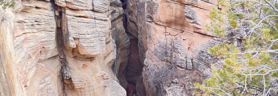 Off-Roading Skutumpah Road: Discover Utah’s Wild Side