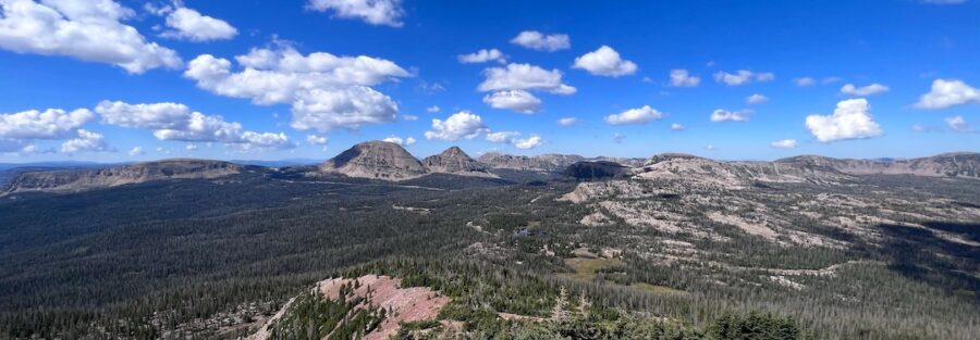 Why So Many Men Feel Lost in Their 20s, 30s, and Beyond