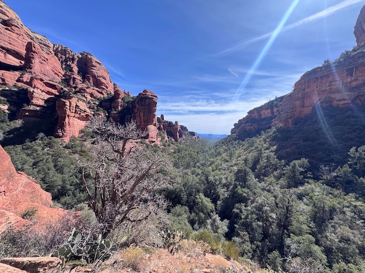 Coconino National Forest, Sedona, Arizona